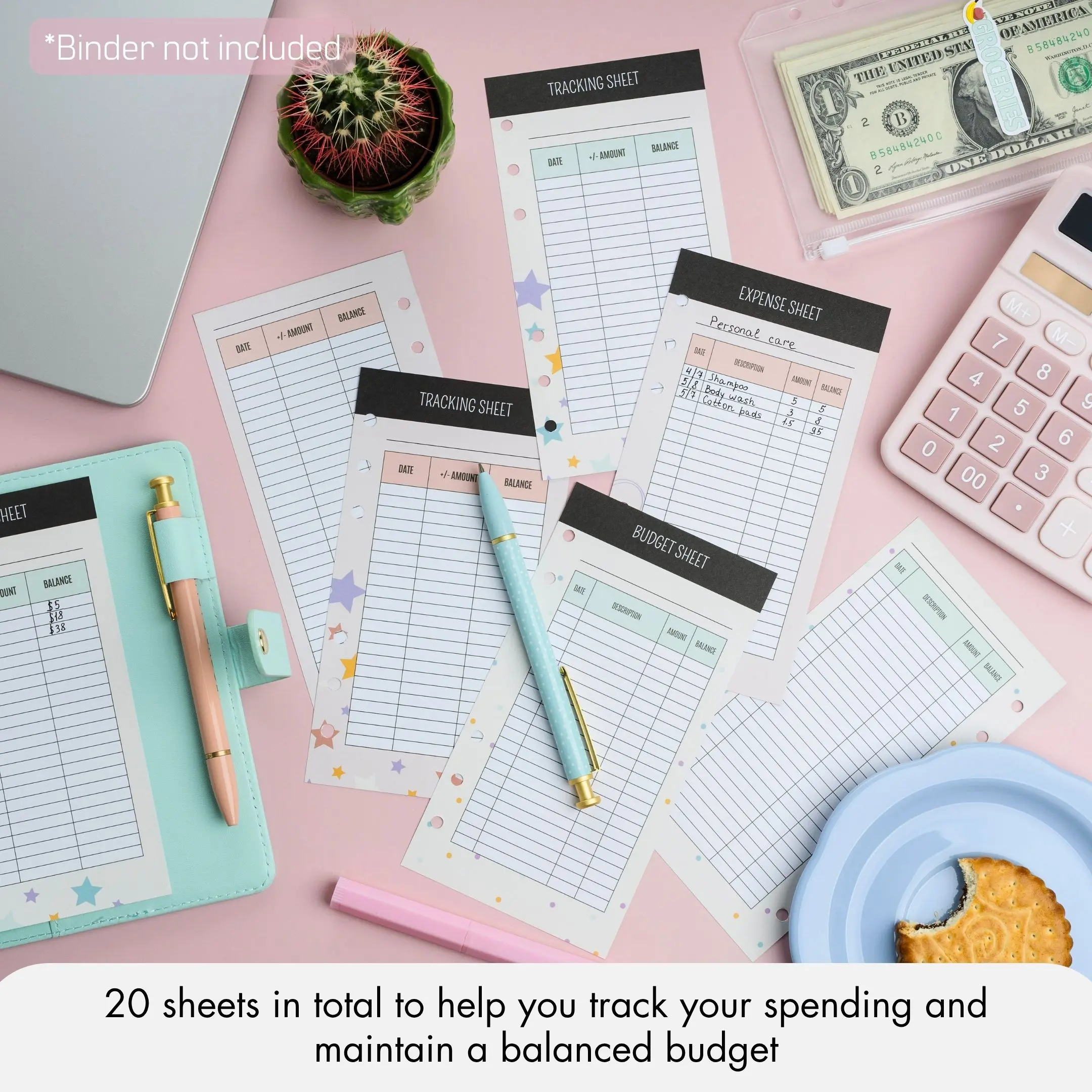 WHEN PIGS FLY | A6 20 Expense Tracking Sheets Planner