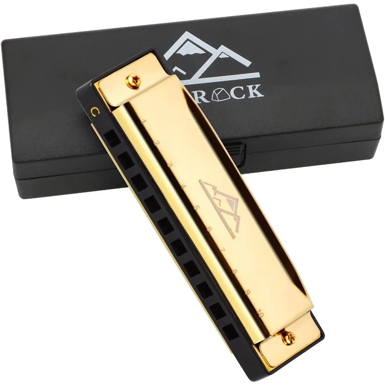 Blues Harmonica Mouth Organ 10 Hole C Key with Case, Diatonic Harmonica for Professional Player, Beginner, Students gifts, Adult, ,  ()