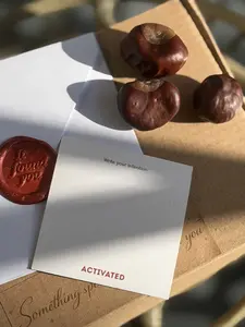 Wish Amulet Set – 3 Chestnuts with Intention Card (Write & Activate)