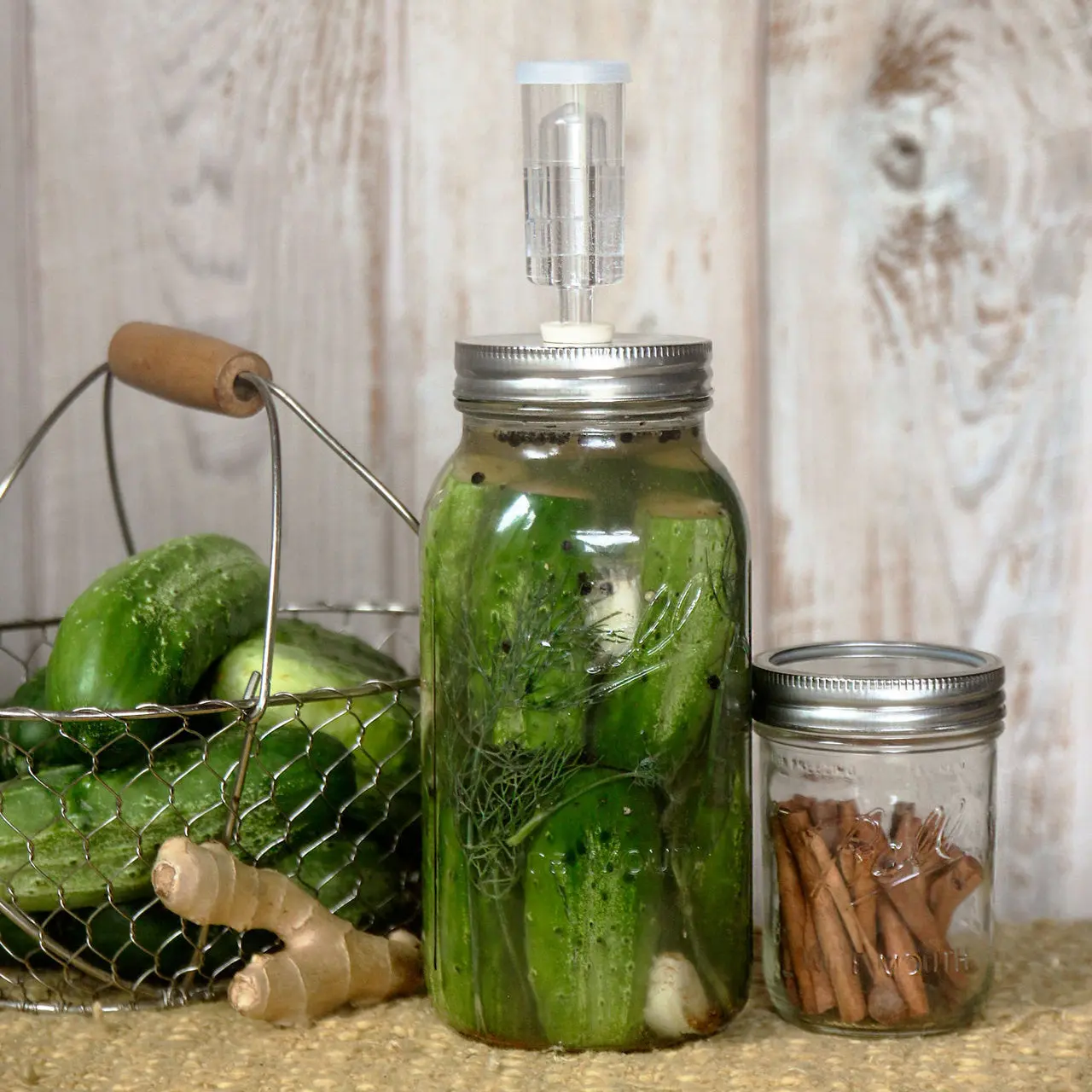 Fermenter Kit