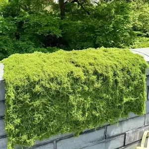 Large Artificial Deep Moss, Realistic DIY Moss Panels and Grass Pads, Soft Cut-Fit PC Material, Low Maintenance, Indoor/outdoor Use