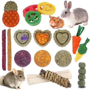 Bunny Toys,21Count Rabbit Toys for Bunnies Rabbit Chew Toys for Teeth Guinea Pig Toys