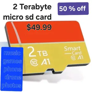 2 terabyte Micro sd card