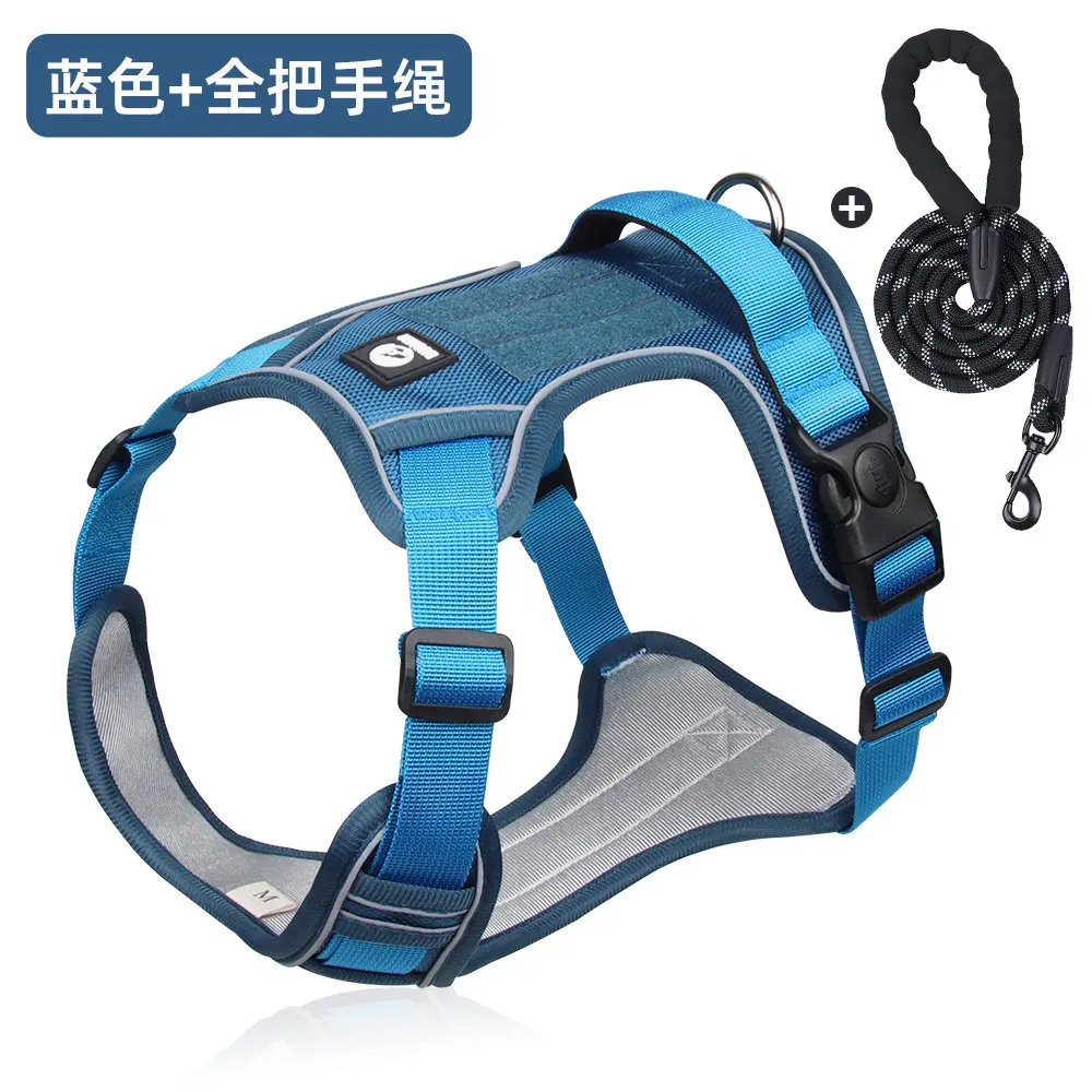 Lake blue harness + 1.5m reflective round rope