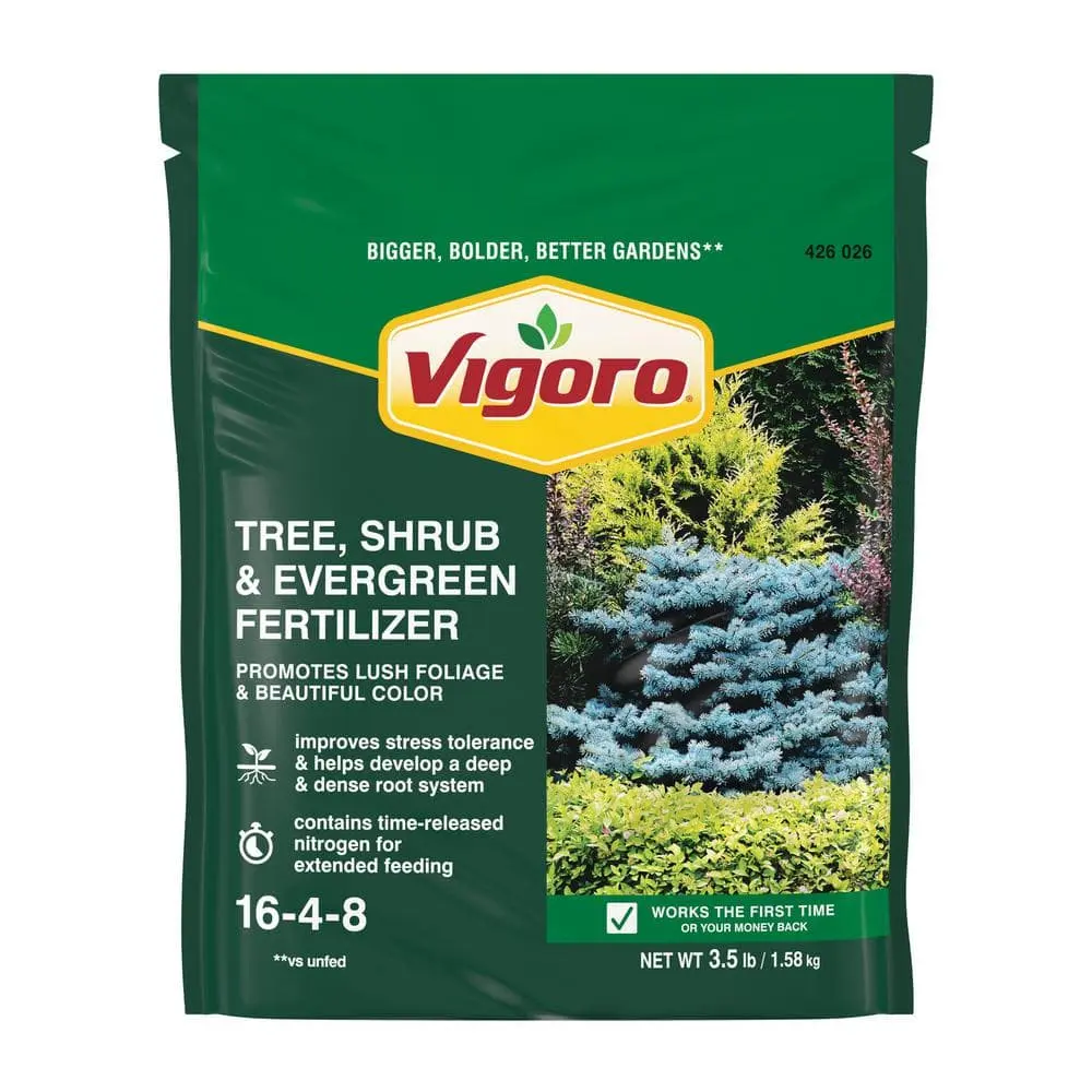 Vigoro 3.5 lb All Season Tree Shrub & Evergreen Plant Food 16-4-8 Balanced Fertilizer for Healthy Growth & Vibrant Appearance
