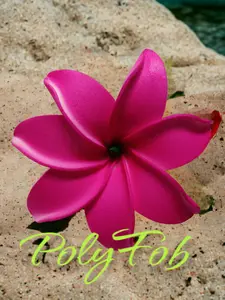 Tiare Bliss Hair Clip