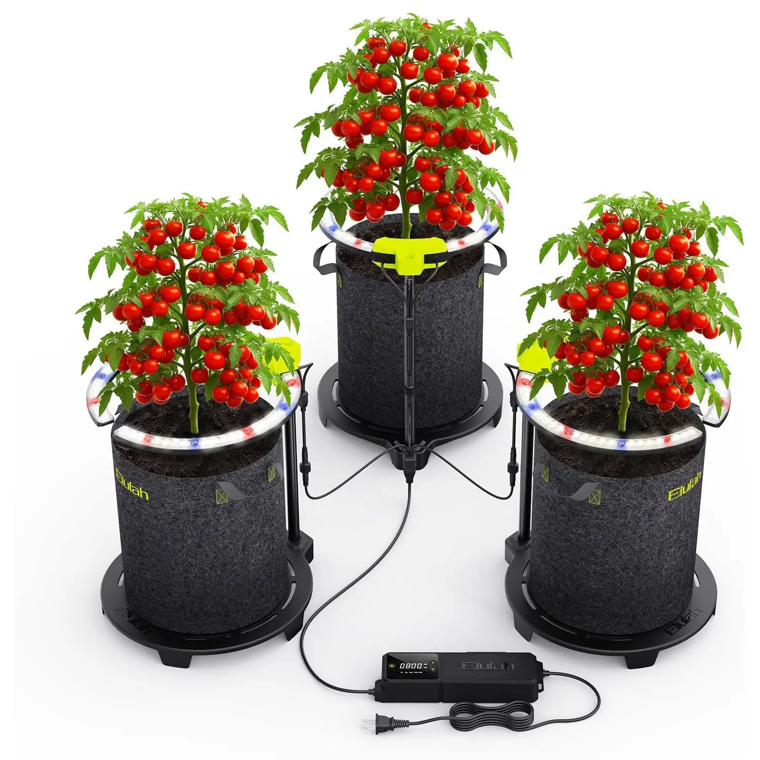 Saturn720 Under Canopy LED Grow Light 3 Ring Lights with 72W Adapter for Home Growers