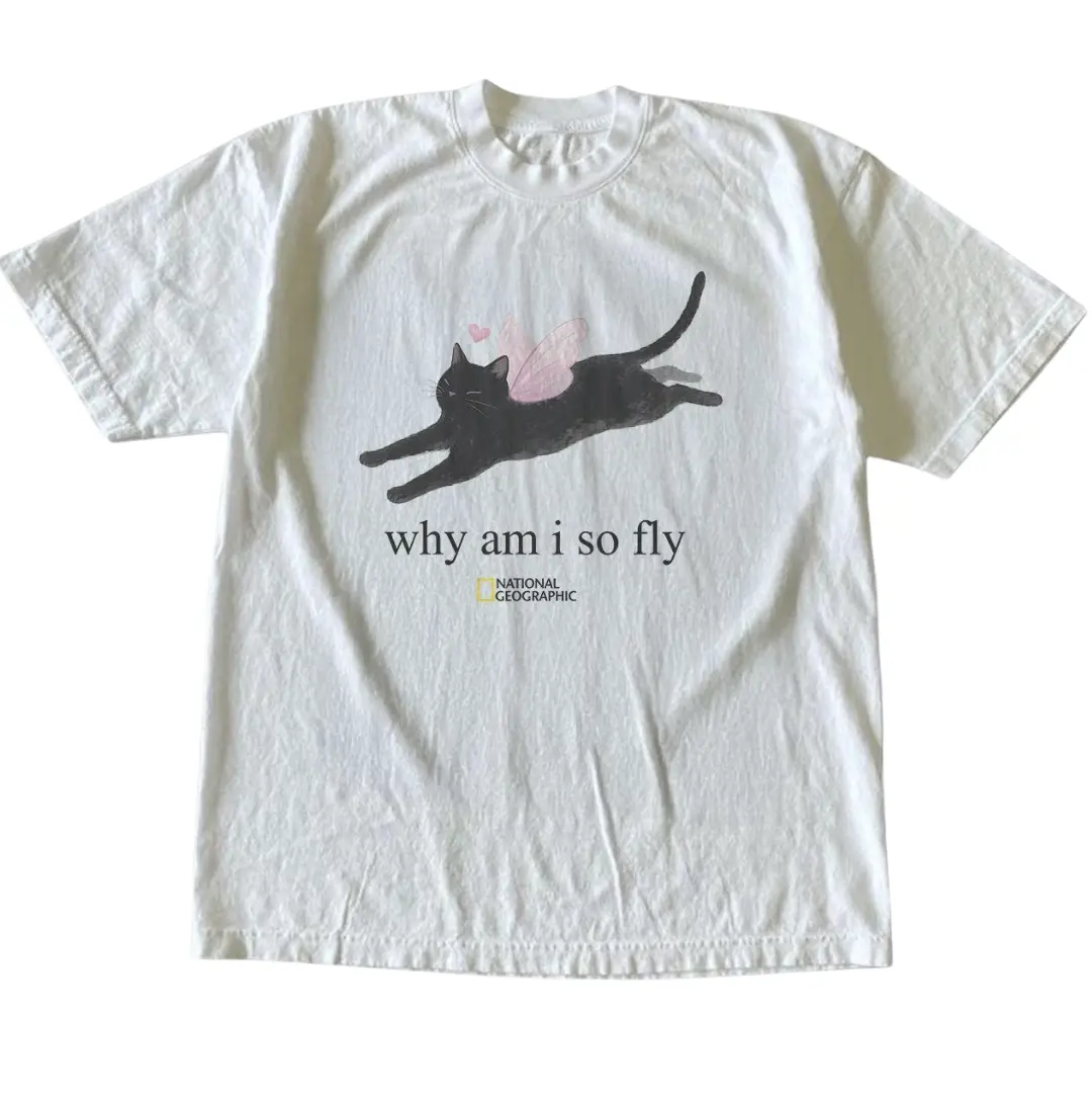 Black Cat Fairy T-Shirt, Cat Lover, Animal Tee, Gifts Shirt, Unisex Vintage Graphic Tees Gothic Grunge Y2k Emo Scene Amity Affliction Style Clothes Men Women Streetwear