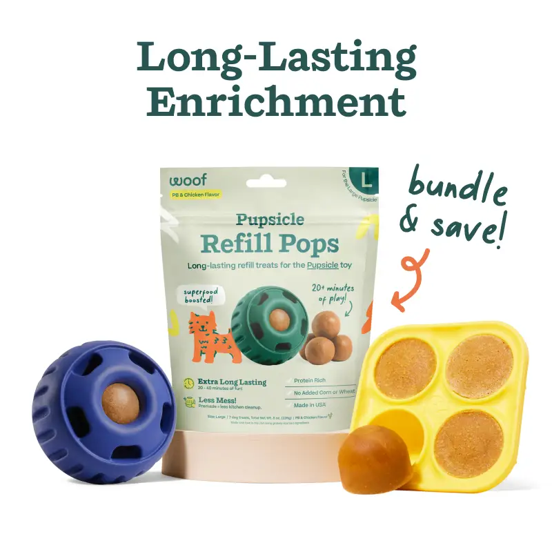 Pupsicle Starter Pack - Long Lasting Enrichment