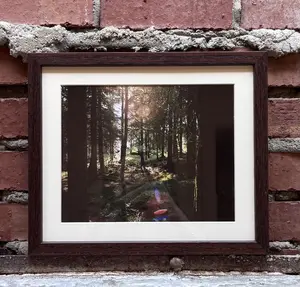 Framed Photography | Norwegian Forest