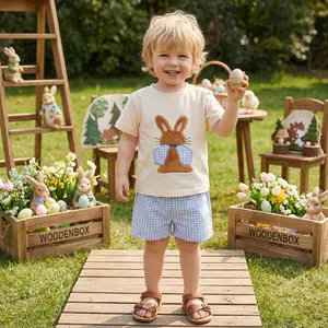 Baby Boys Easter Outfits Adorable Rabbit Embroidery Short Sleeve Round Neck Tops and Plaid Shorts Set