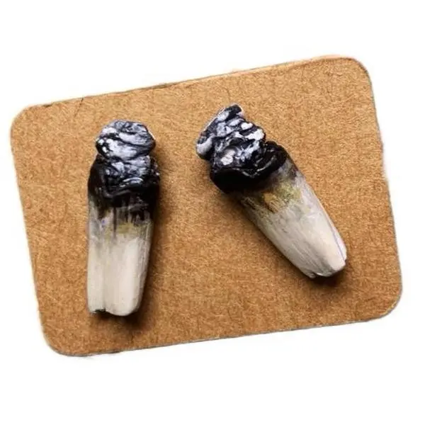 Sweetchibababy Dope Pair Stud Joint Handmade Novelty Roach Earrings Unique Wearable Art Handcrafted Design