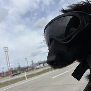 Frosted pet glasses, dog sunglasses suitable for medium and large dogs, dog goggles, dog colorful glasses