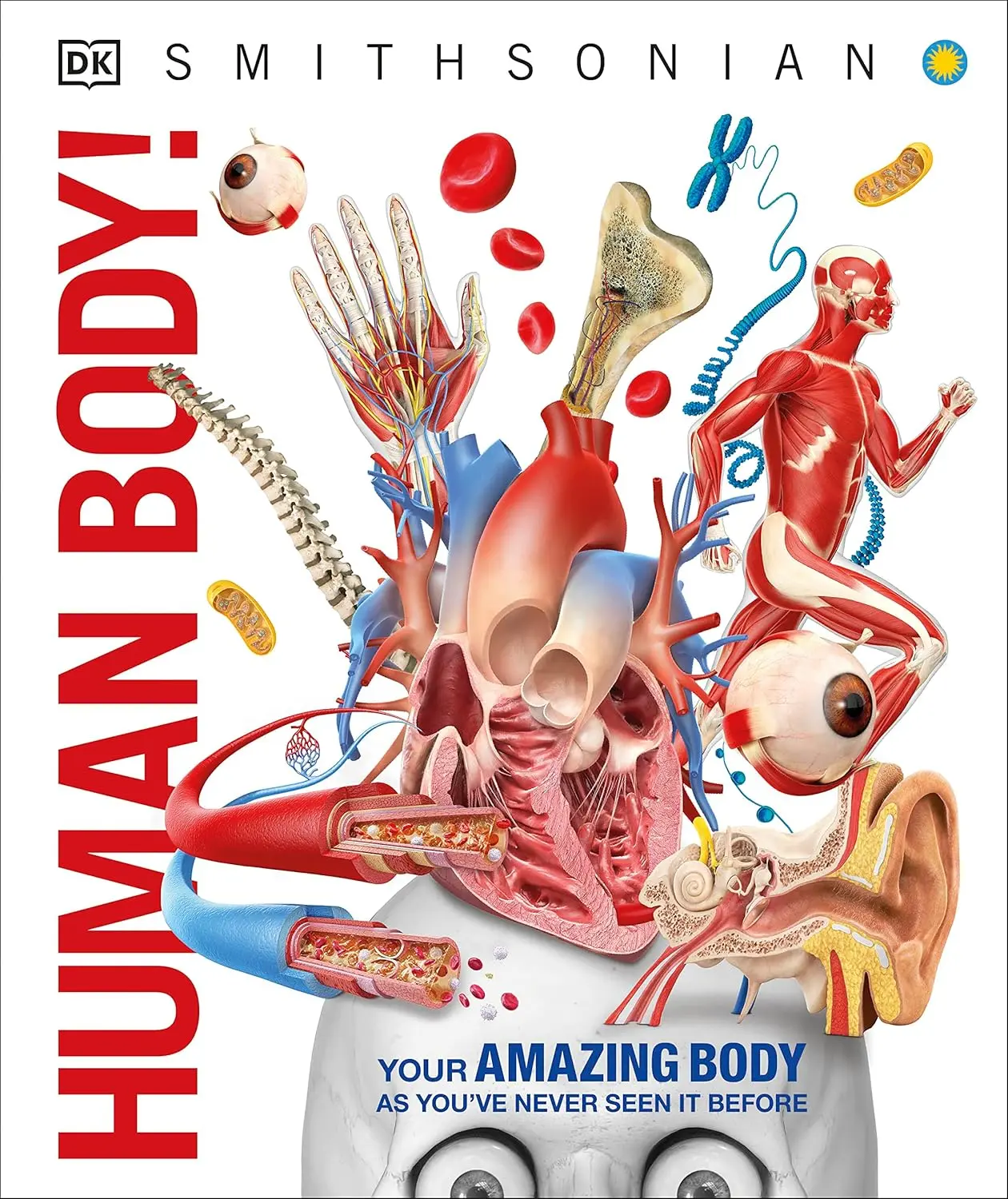 DK Knowledge Encyclopedia: Human Body - Hardcover Children's Science & Natural Sciences Book, 208 Pages, CGI Imagery, Cutaways, Fact-Checked, Detailed Cross-Sections