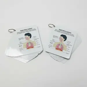 Human Anatomy Flash Cards Bundle, 21-Piece Paper Cards with Hanging Rings for Medical and Nursing Study
