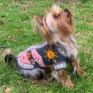 Size 2 Handmade Peruvian Accent Luxury Dog Sweater