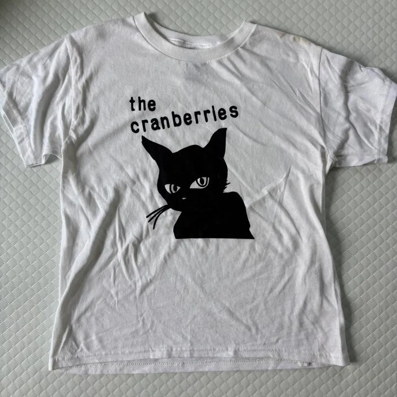 Cranberries  Baby Tee Y2k Vintage