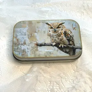 Owl Tin box, trinket box, small storage box
