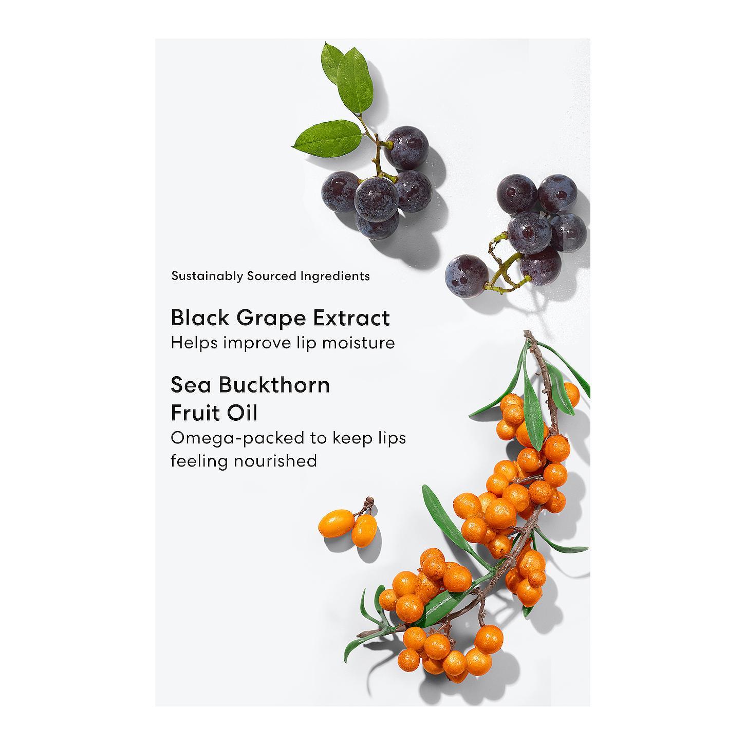 bareMinerals Mineralist Lasting Lip Liner in Blissful Blush bareMinerals Mineralist Lasting Lip Liner in Blissful Blush