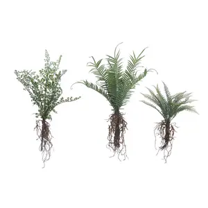 Faux Fern w/ Exposed Roots