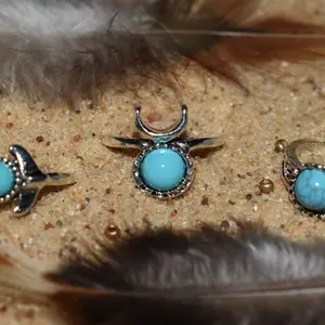 Southwestern Faux Turquoise Ring Set
