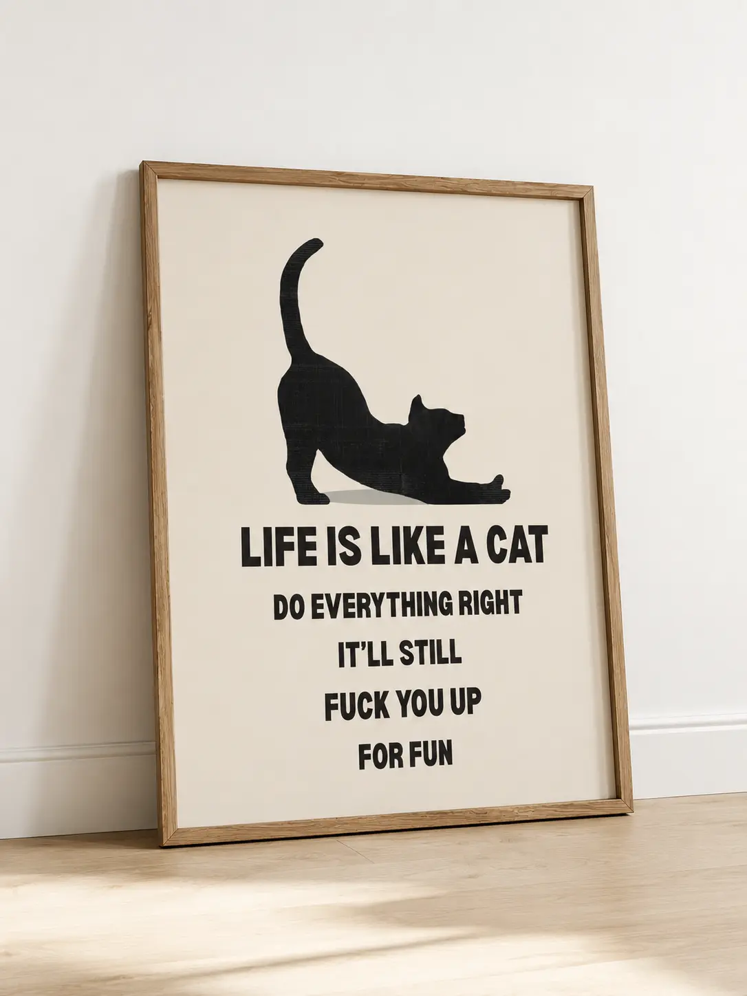 Life Is Like A Cat