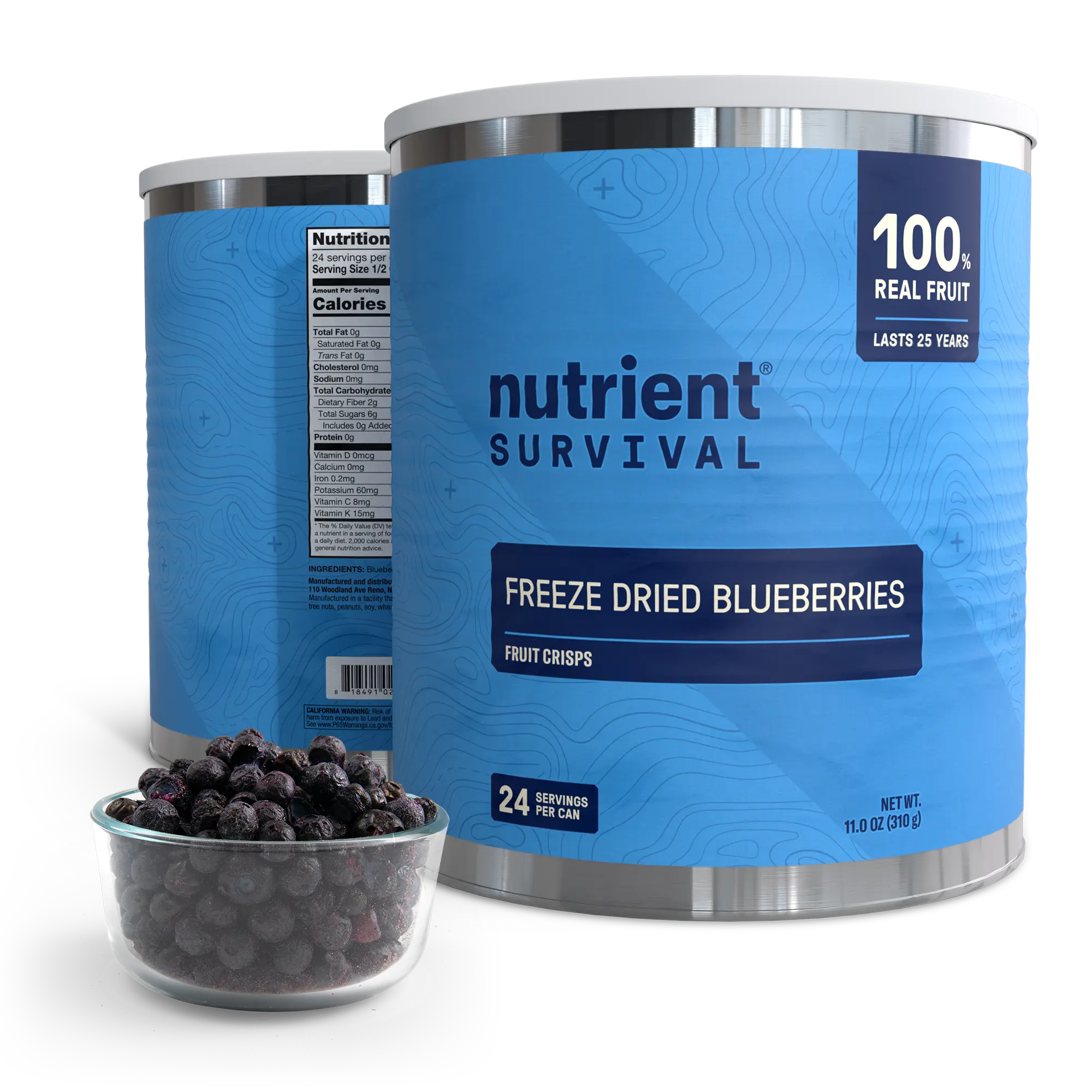 Freeze Dried Blueberries #10 Can