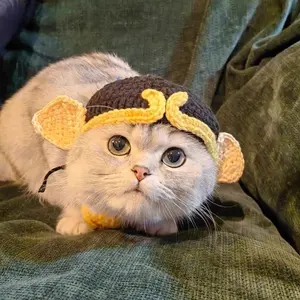 Cat wool knit hat dog small dog hand crocheted funny cute decorative accessories headgear drag hat