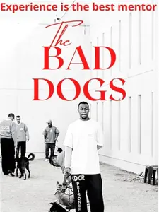 The Bad Dogs - Experience is the best mentor