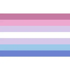 Bigender Pride Flag 3x5