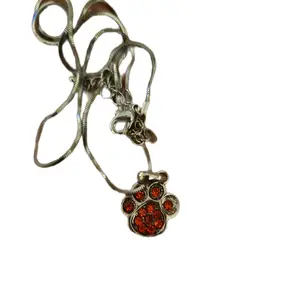 Animal Paw Necklace with Orange Stones on Silver Rope Chain Adjustable Length Unique Animal Themed Accessory for Animal Lovers