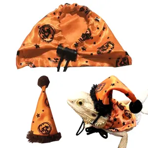 Beardy Halloween Costume