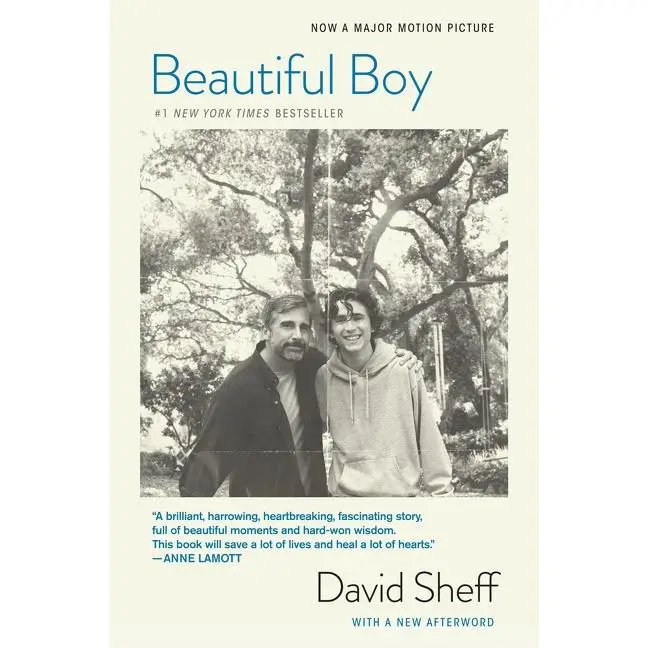 Beautiful Boy (tie-In): A Father's Journey Through His Son's Addiction by David Sheff [Paperback Book]