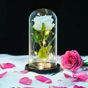 Roses in Glass Dome,Eternal Rose Gift for Women,Lasts Forever Home Decor,Mother's Day Christmas (Excluding batteries, self provided batteries are required)