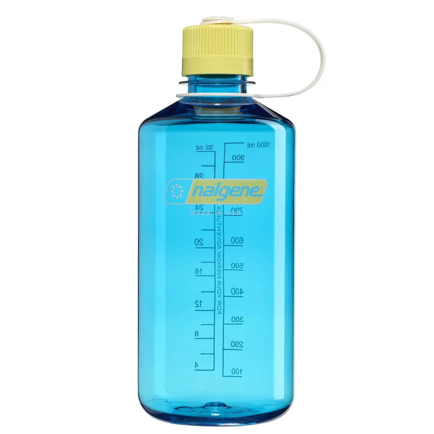 Blue Atoll with Endive