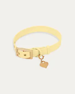 Wander! Collar 2.0 - Buttercream