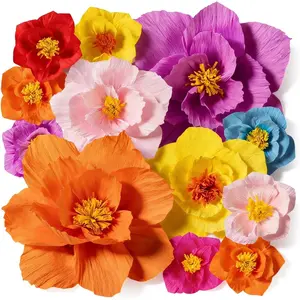 12pcs Crepe Paper Flowers for Wall Decor, Large Artificial Tissue Paper Flower, Colorful Wall Decorations for Nursery Baby Shower Birthday Party Backdrop W