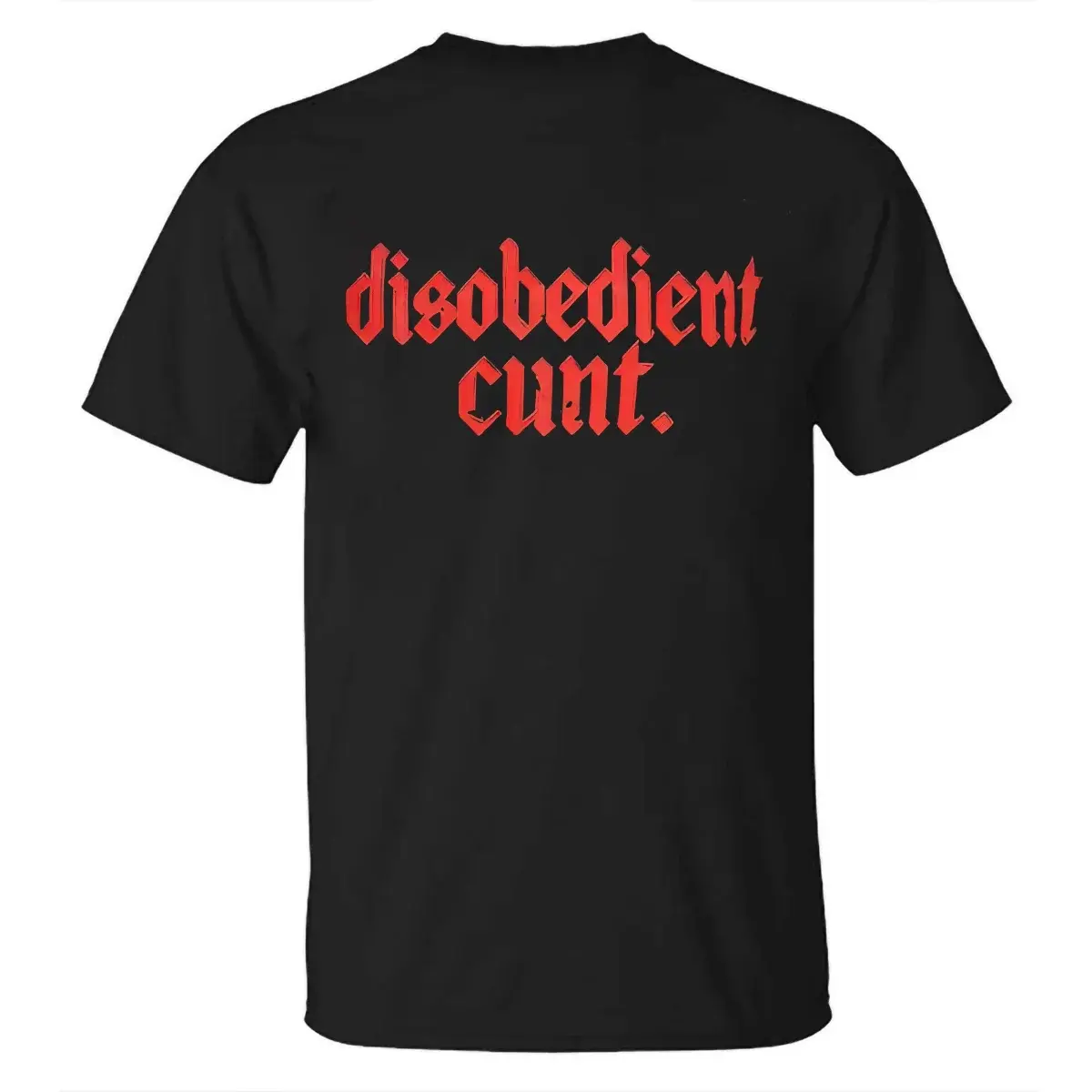 "Disobedient" Graphic T-Shirt - Rebel Streetwear Tee, Unisex Statement Shirt, Anti-Establishment Apparel