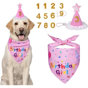 Dog Birthday Decorations, Dog Birthday Hat with Numbers for Large Medium Small,Pet Supplies (Pink)