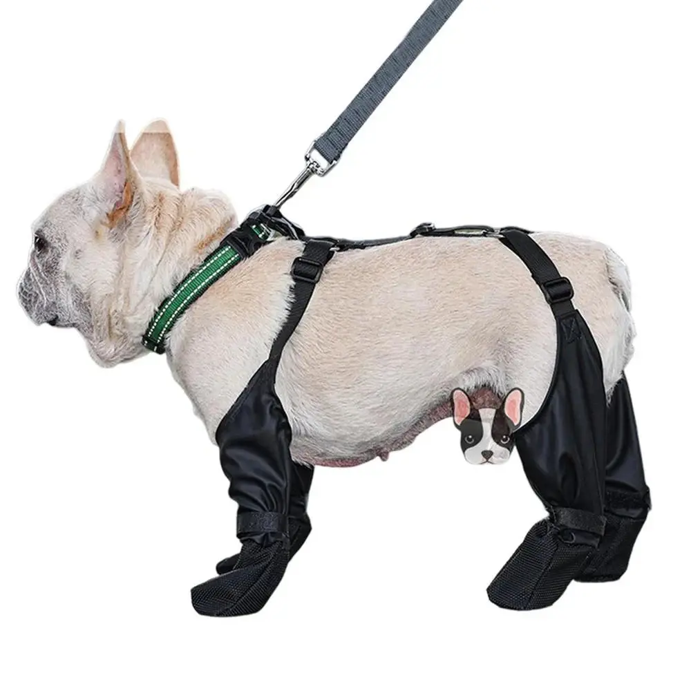 Dog Boots for Small/Medium Dogs - Waterproof, Anti-Slip Sole, Breathable Fabric, Velcro Straps, Durable Paw Protectors for Rainy Weather, Outdoor Walks, Keeps Dry & Rock & Glass Guard