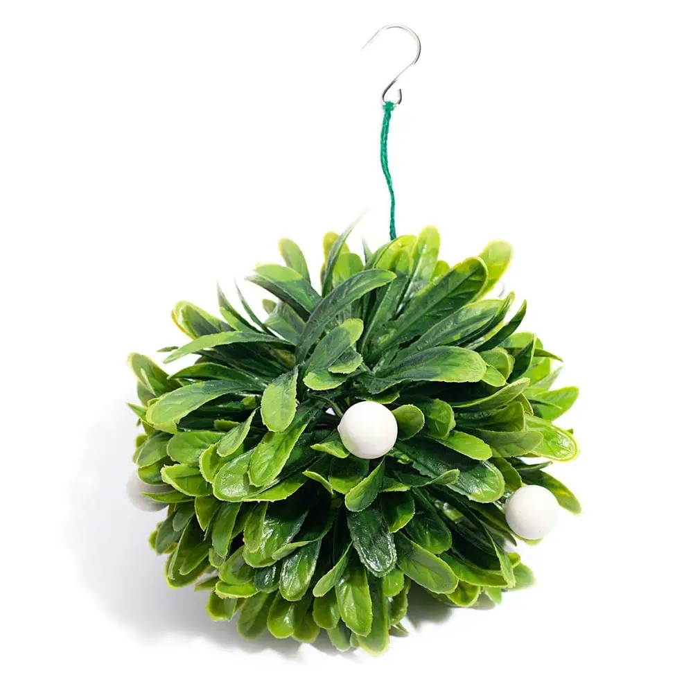 Anderson's 5-in Hanging Mistletoe or Kissing Ball - Magical Traditional Photo Decor for Christmas, Bridal Showers, Home Office Events & Gifting
