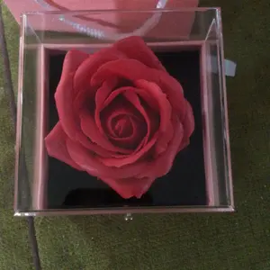 review image 8