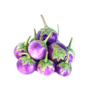 ROUND PURPLE EGGPLANT Seeds Cà Pháo Tím Organic for Summer Gardening High-Quality Purple Eggplant Seeds for Homegrown Vegetables