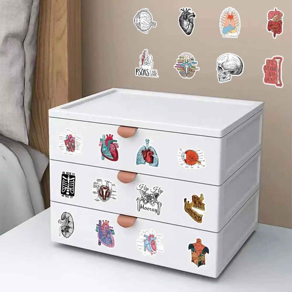 Cute Anatomy Sticker Pack | 50 Medical Cartoon Stickers | EMT EMS Nursing Student Gift