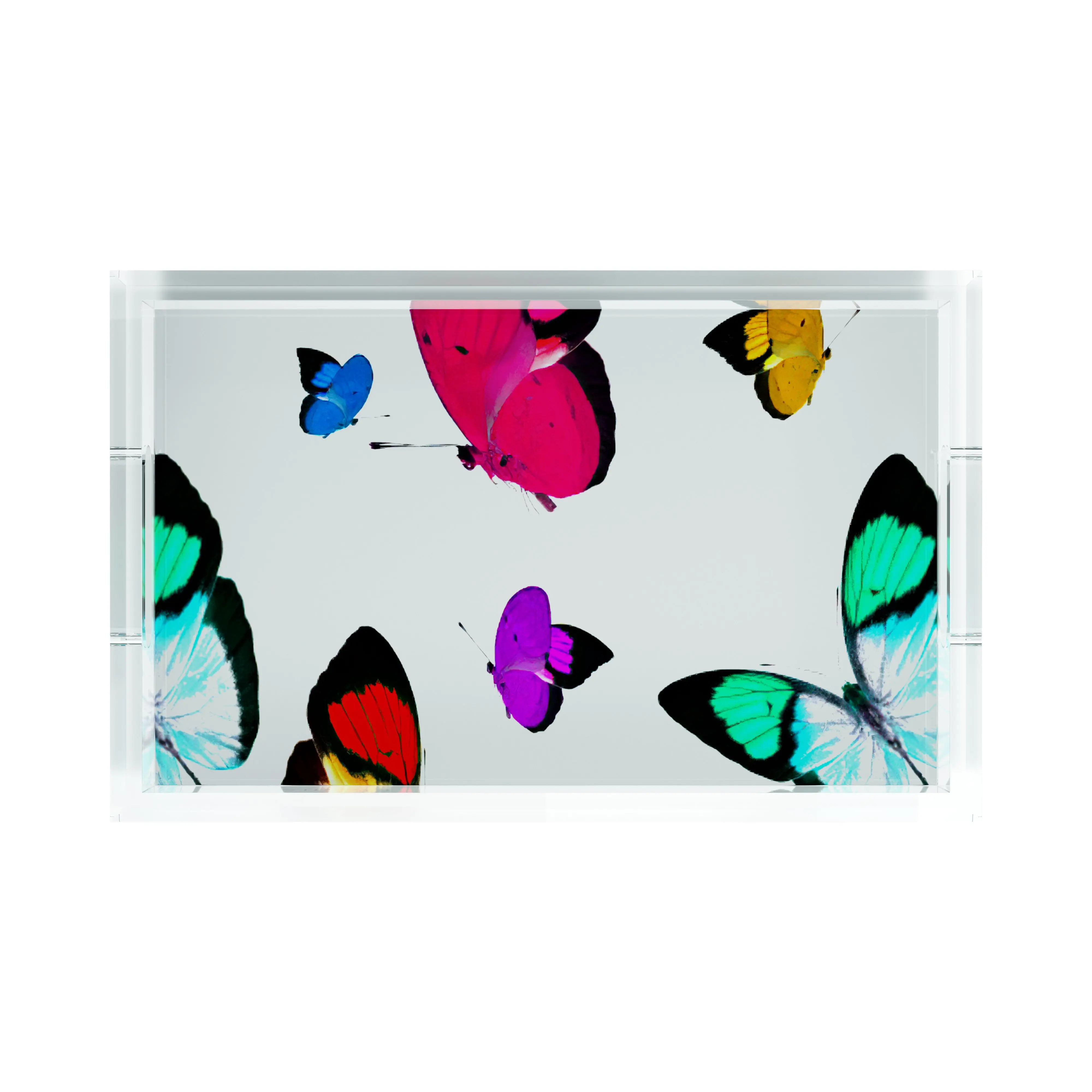 Butterflies Original Acrylic Rectangle Decorative Tray