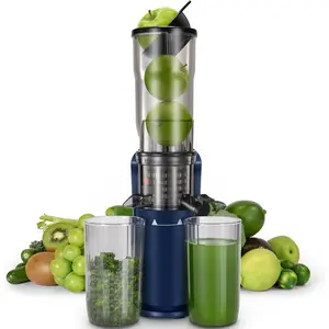 Cold Press Juicer, Compact Slow Masticating Juicer Machines with 3" Feed Chute for Whole Vegetables and Fruits, Small Juicer Self Feeding, Easy Clean with Brush, High Juice Yield, BPA Free