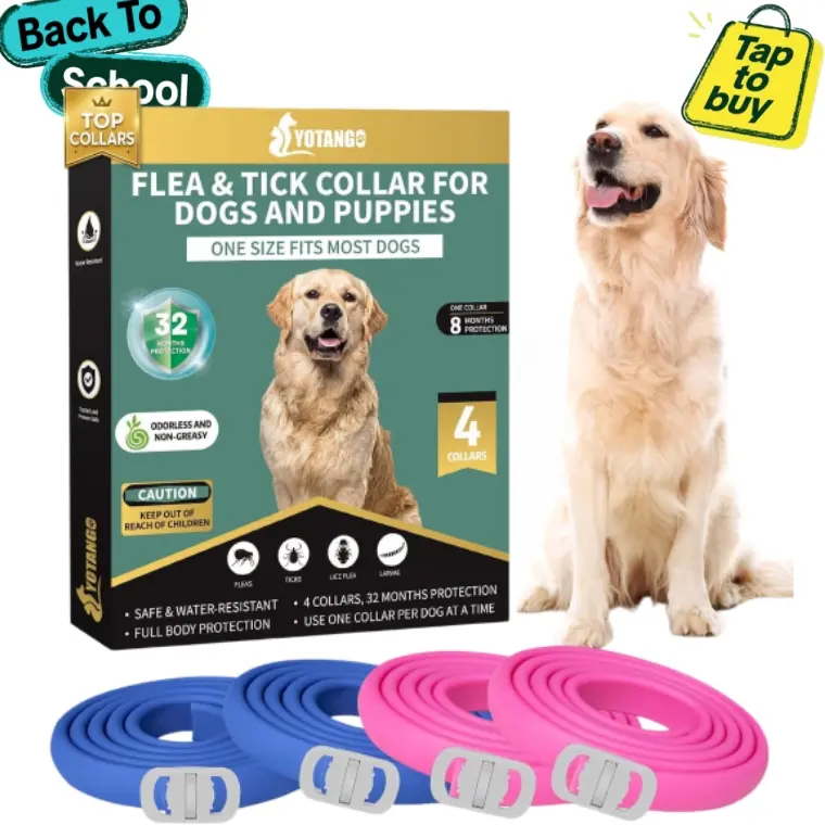 YOTANGO 4 Pack Flea Collar for Dogs, Dog Flea Collar Waterproof, 32 Months Prevention, Dog Fleas and Tick Treatment, Adjustable Fleas and Tick Protection for Dogs Puppy(Blue & Pink) small puppy #sohochic sohochic