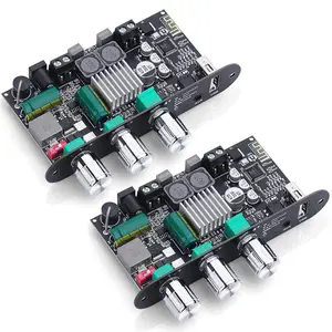 2 Pack ZK-1001U  5.3 Mono Amplifier Board with TWS & Boost Circuit, Mini Audio Amp for Home Outdoor DIY Speakers with 100W Power Output, Treble and Bass, USB/AUX/BT Input,  9-24V