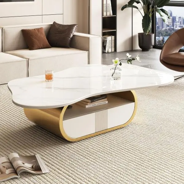 Bellemave Modern Butterfly Oval Coffee Table - Living Room Center Table with Sintered Stone Top, Stainless Steel Base, MDF Cabinet, Storage Shelf, and Drawer