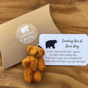 Little Pocket Bear Hug - Giving hugs to whoever needs one, supporting positive mental health.